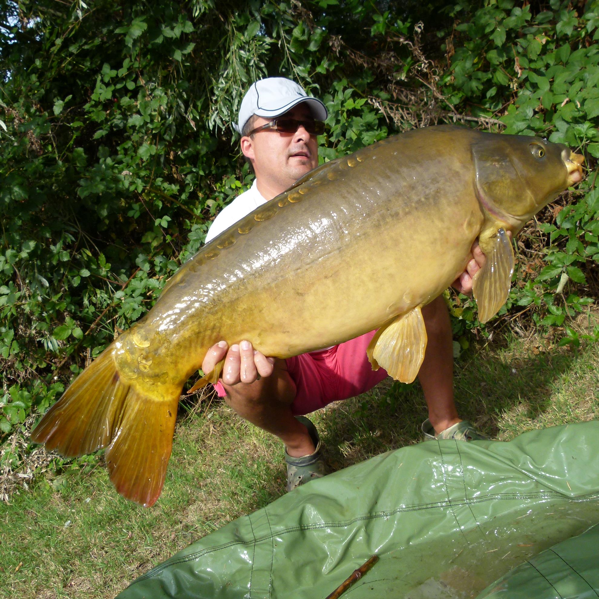 ISOLA DEL PESCATORE 13 - 14 sep. - p1030829.JPG